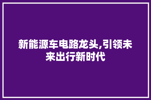 新能源车电路龙头,引领未来出行新时代