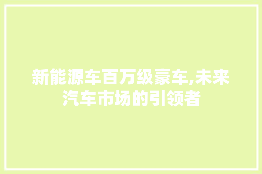 新能源车百万级豪车,未来汽车市场的引领者