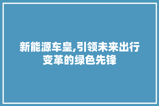 新能源车皇,引领未来出行变革的绿色先锋