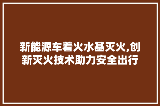 新能源车着火水基灭火,创新灭火技术助力安全出行