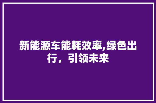 新能源车能耗效率,绿色出行，引领未来