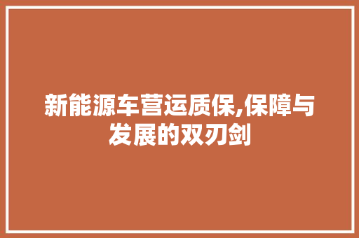 新能源车营运质保,保障与发展的双刃剑  第1张