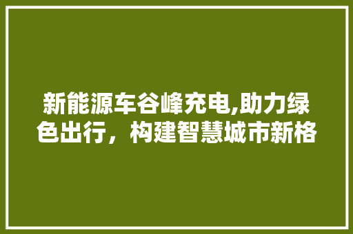 新能源车谷峰充电,助力绿色出行，构建智慧城市新格局  第1张