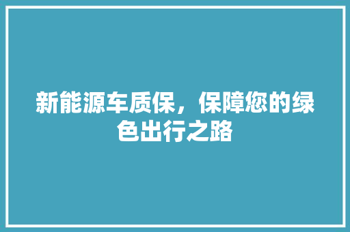 新能源车质保，保障您的绿色出行之路