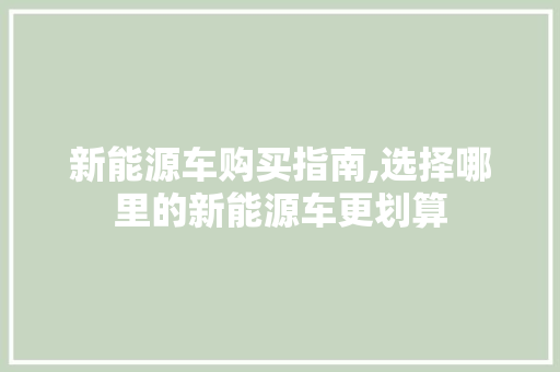 新能源车购买指南,选择哪里的新能源车更划算  第1张