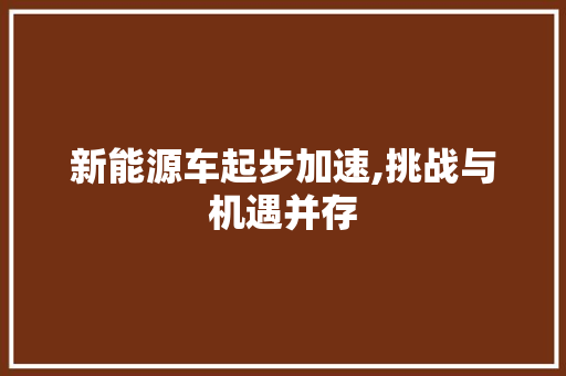 新能源车起步加速,挑战与机遇并存