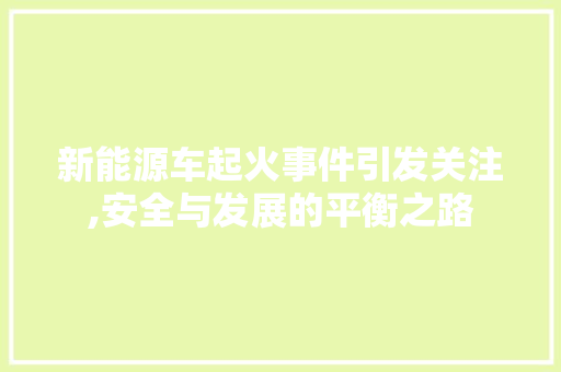 新能源车起火事件引发关注,安全与发展的平衡之路