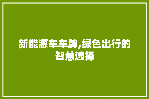 新能源车车牌,绿色出行的智慧选择