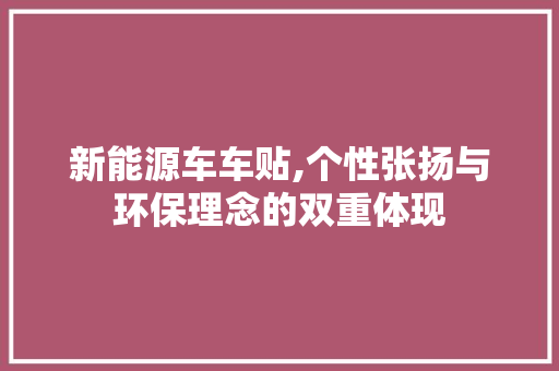 新能源车车贴,个性张扬与环保理念的双重体现  第1张