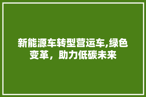 新能源车转型营运车,绿色变革，助力低碳未来