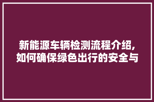 新能源车辆检测流程介绍,如何确保绿色出行的安全与环保