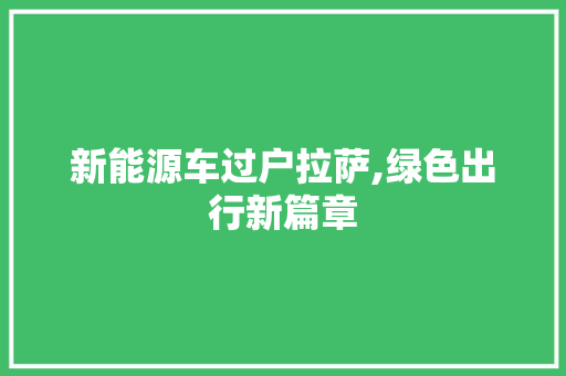新能源车过户拉萨,绿色出行新篇章