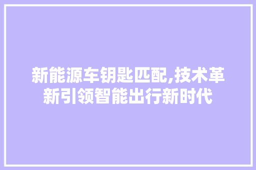 新能源车钥匙匹配,技术革新引领智能出行新时代  第1张
