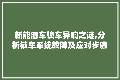 新能源车锁车异响之谜,分析锁车系统故障及应对步骤