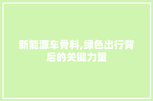 新能源车骨料,绿色出行背后的关键力量