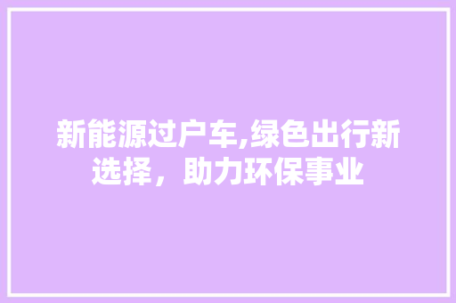 新能源过户车,绿色出行新选择，助力环保事业