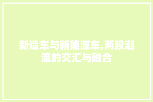 新造车与新能源车,两股潮流的交汇与融合
