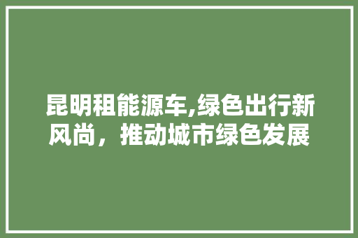 昆明租能源车,绿色出行新风尚，推动城市绿色发展