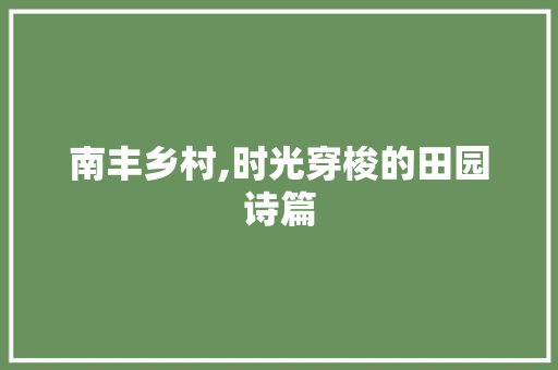 南丰乡村,时光穿梭的田园诗篇