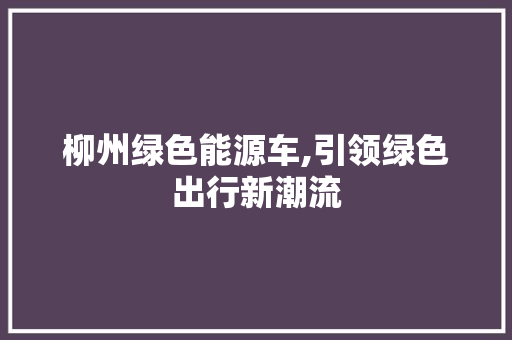 柳州绿色能源车,引领绿色出行新潮流