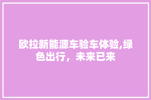 欧拉新能源车验车体验,绿色出行，未来已来