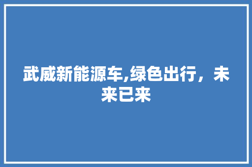 武威新能源车,绿色出行，未来已来