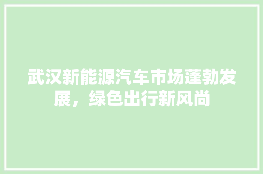 武汉新能源汽车市场蓬勃发展，绿色出行新风尚  第1张