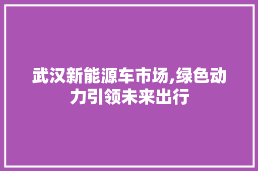 武汉新能源车市场,绿色动力引领未来出行