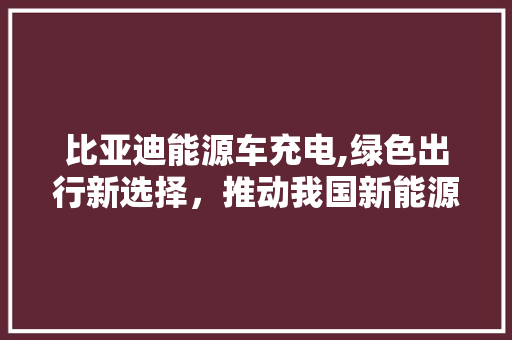 比亚迪能源车充电,绿色出行新选择，推动我国新能源汽车发展