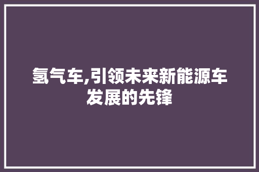 氢气车,引领未来新能源车发展的先锋
