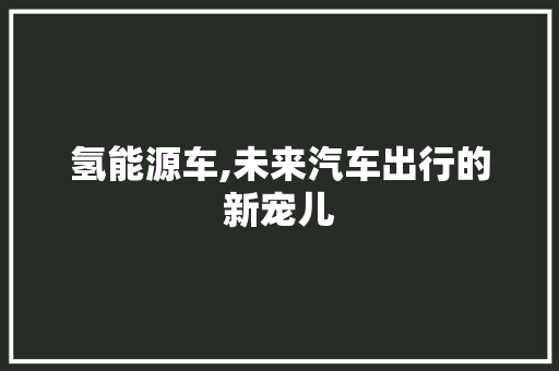 氢能源车,未来汽车出行的新宠儿  第1张