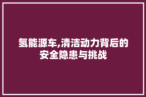 氢能源车,清洁动力背后的安全隐患与挑战  第1张