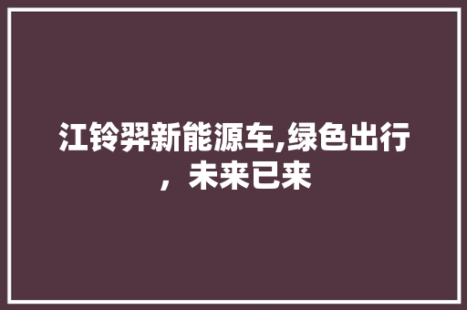 江铃羿新能源车,绿色出行，未来已来