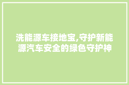 洗能源车接地宝,守护新能源汽车安全的绿色守护神  第1张