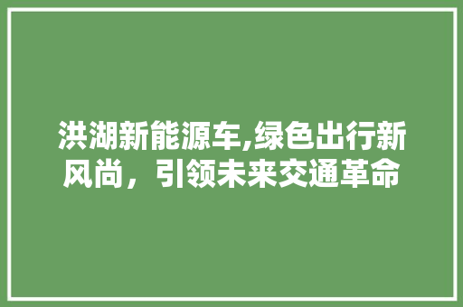 洪湖新能源车,绿色出行新风尚，引领未来交通革命  第1张