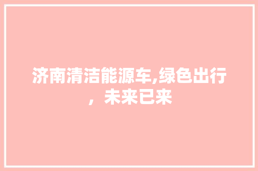 济南清洁能源车,绿色出行，未来已来