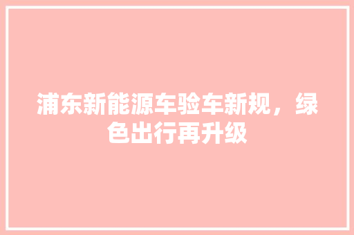 浦东新能源车验车新规，绿色出行再升级  第1张