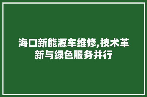 海口新能源车维修,技术革新与绿色服务并行  第1张