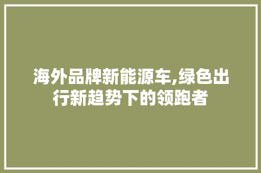 海外品牌新能源车,绿色出行新趋势下的领跑者  第1张