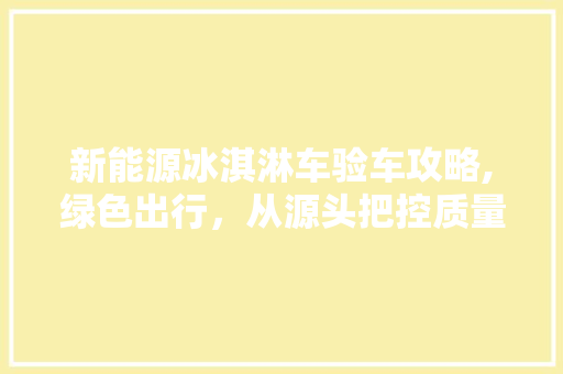 新能源冰淇淋车验车攻略,绿色出行，从源头把控质量