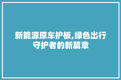 新能源原车护板,绿色出行守护者的新篇章  第1张