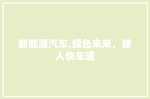 新能源汽车,绿色未来，驶入快车道