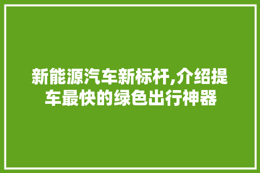 新能源汽车新标杆,介绍提车最快的绿色出行神器  第1张