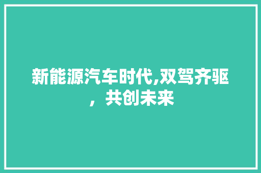 新能源汽车时代,双驾齐驱，共创未来