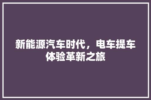 新能源汽车时代，电车提车体验革新之旅