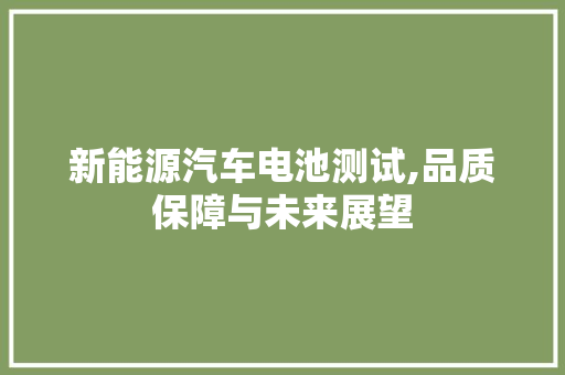 新能源汽车电池测试,品质保障与未来展望
