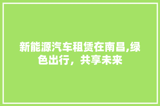 新能源汽车租赁在南昌,绿色出行，共享未来