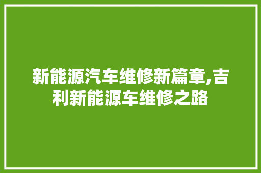 新能源汽车维修新篇章,吉利新能源车维修之路