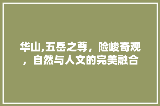 华山,五岳之尊，险峻奇观，自然与人文的完美融合