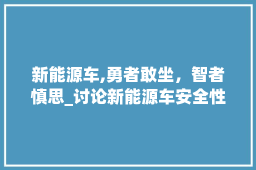 新能源车,勇者敢坐，智者慎思_讨论新能源车安全性问题